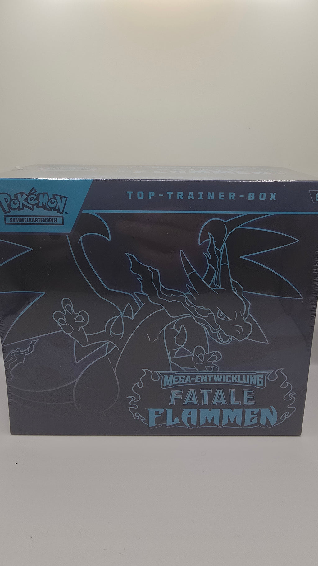 Fatale Flammen Top-Trainer-Box